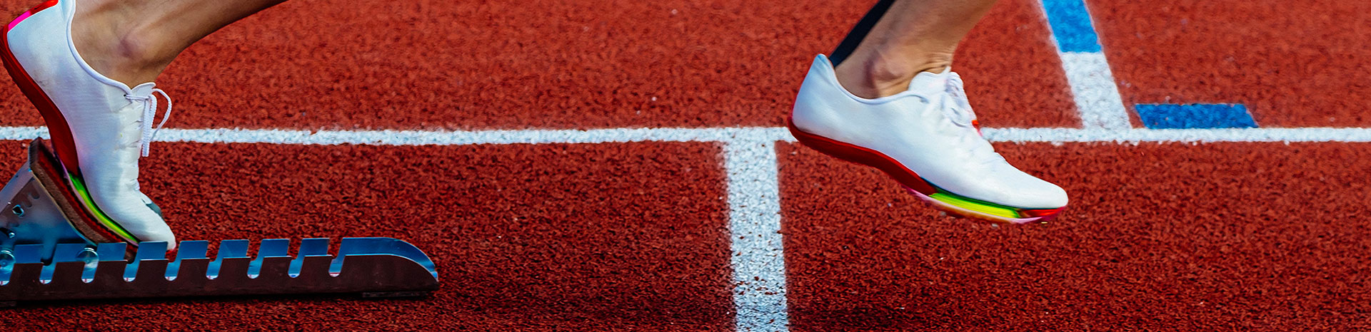 Antidoping Ombuds - IT